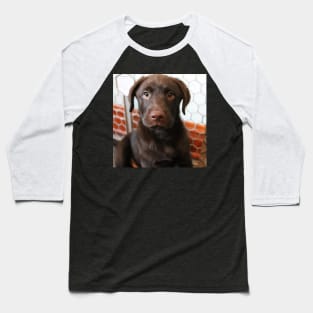 Labrador Puppy Baseball T-Shirt